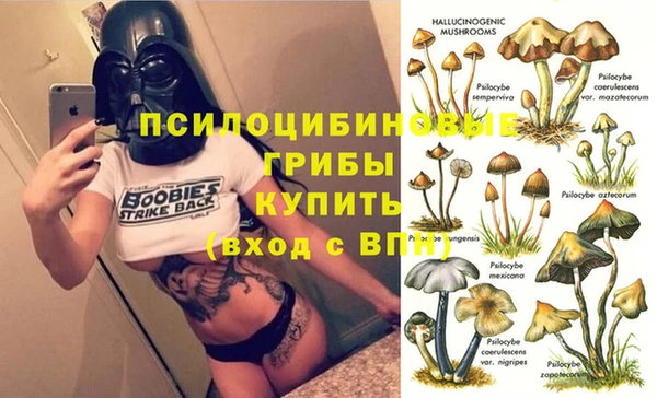 мескалин Покачи