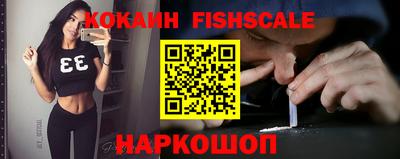 гидра Камышлов