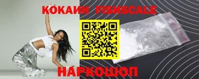 гидра Камышлов