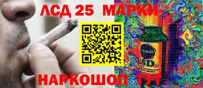 СК Кингисепп
