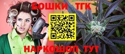гидра Камышлов