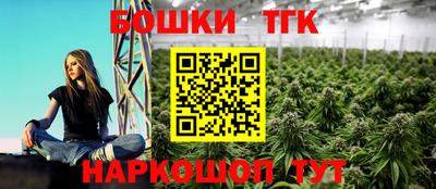 гидра Камышлов
