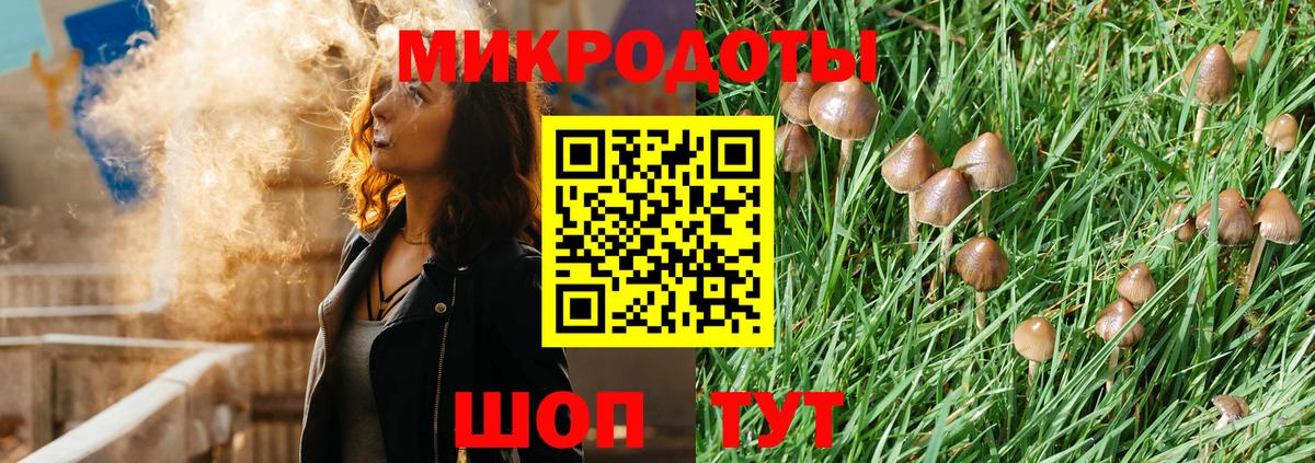 Псилоцибиновые грибы GOLDEN TEACHER  Галлюциногенные грибы Psilocybe  Сибай  Вход с VPN 
