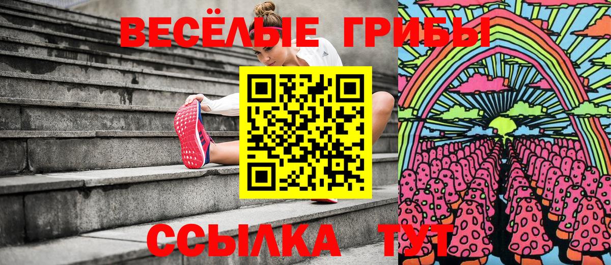 Псилоцибиновые грибы MAGIC MUSHROOMS Сибай